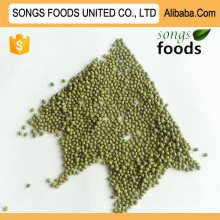 Chinese Exporters Green Mung Beans New Crop